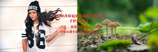 героин Абаза