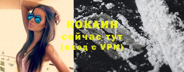 крисы Абдулино
